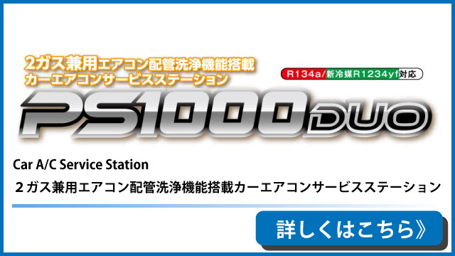 PS1000DUO