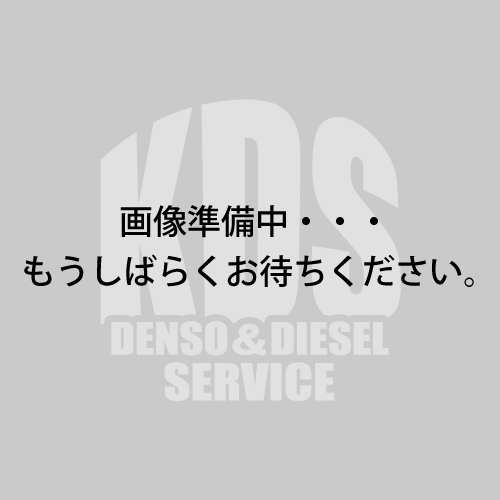 DENSO　「DST-2」